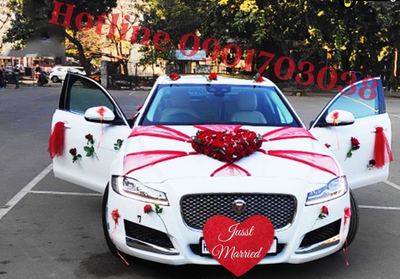mẫu xe hoa Ngày Chung Đôi cho chiếc xe sang màu trắng hoàn hảo mẫu xe hoa Ngày Chung Đôi cho chiếc xe sang màu trắng hoàn hảo
