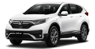 GIá xe honda crv chỗ cho thuê tại Red Sun
