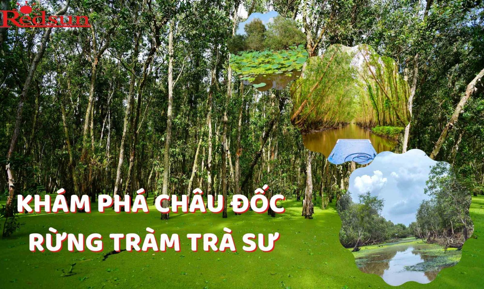 Du lịch khám phá tại Châu Đốc - Rừng Tràm Trà Sư 02 ngày 01 đêm cùng Red Sun 