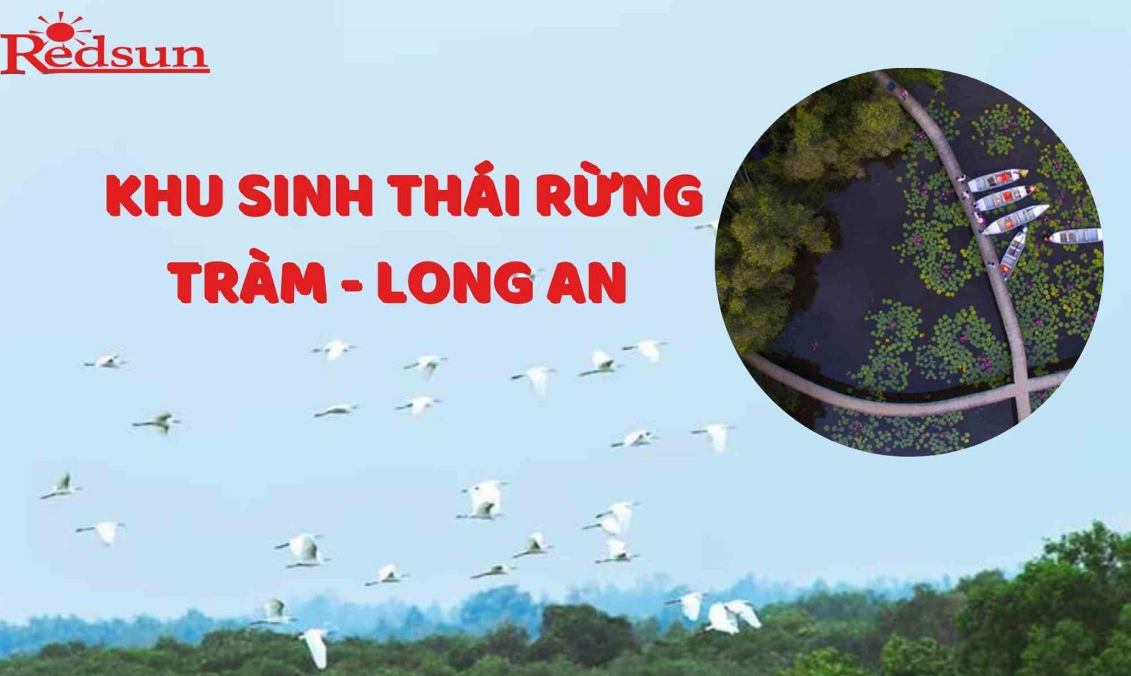 du lịch khám phá rừng tràm 01 ngày tại Long An cùng Red Sun