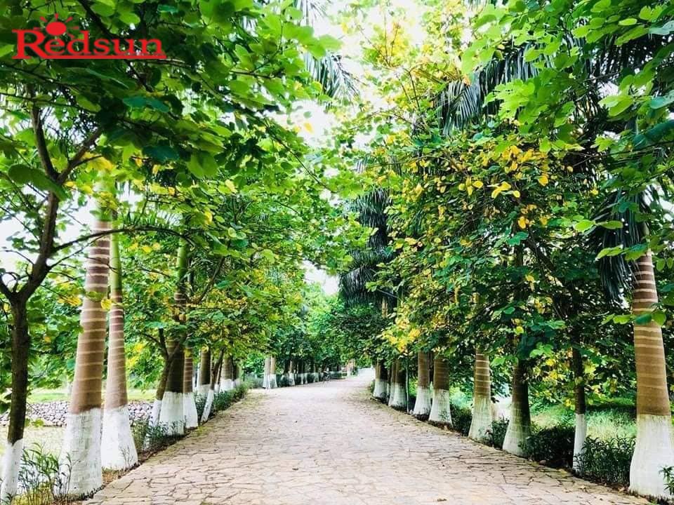Tour trải nghiệm cho học sinh tại Làng Sỏi Ba vì Tour trải nghiệm cho học sinh tại Làng Sỏi Ba vì