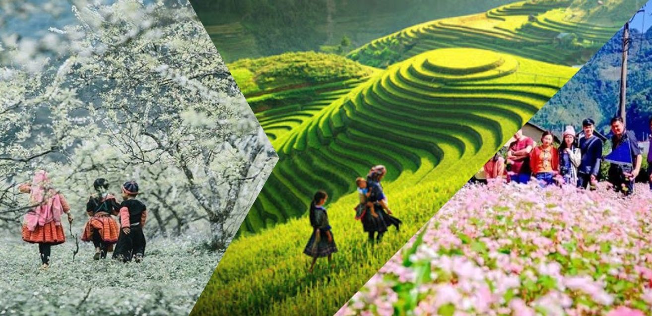 Tour miền bắc giá rẻ siêu hấp dẫn