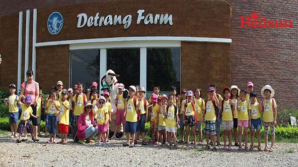 Tour trải nghiệm trang trại Dê trắng của Red Sun Tour trải nghiệm trang trại Dê trắng của Red Sun